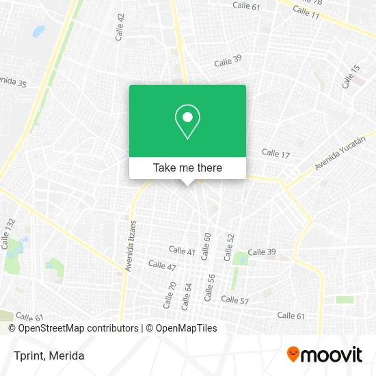 Tprint map