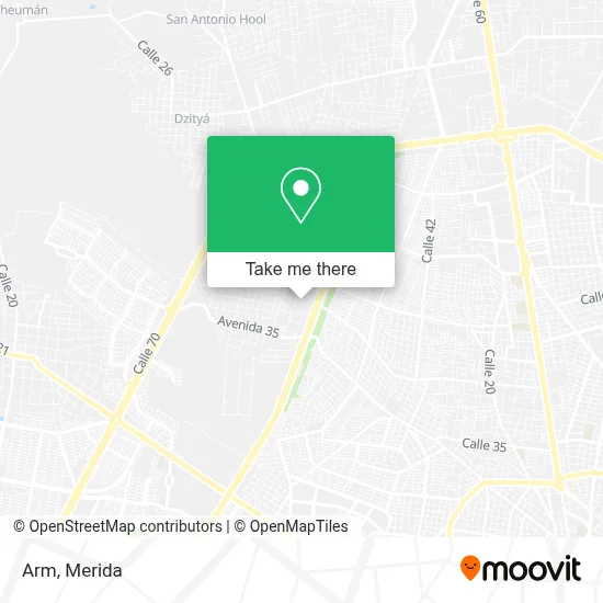 Arm map