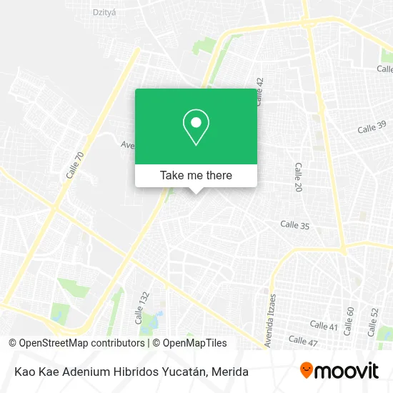 Kao Kae Adenium Hibridos Yucatán map
