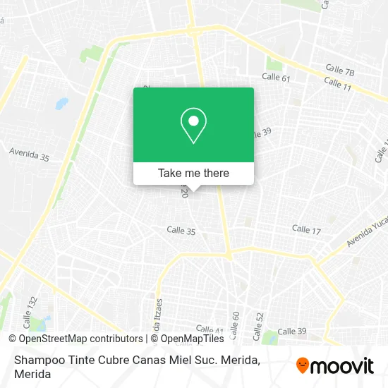 Shampoo Tinte Cubre Canas Miel Suc. Merida map