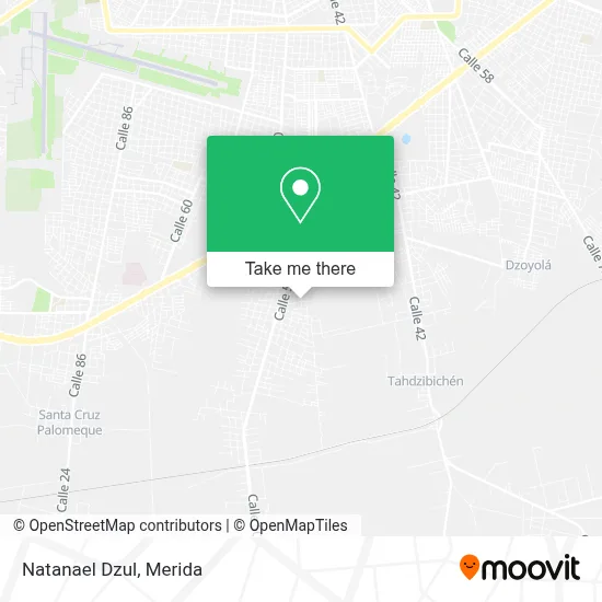 Natanael Dzul map