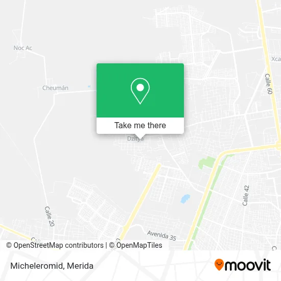 Micheleromid map