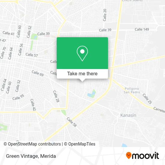 Green Vintage map