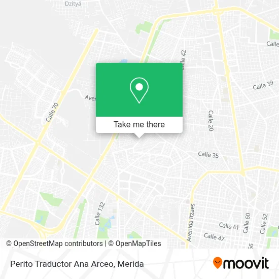 Perito Traductor Ana Arceo map