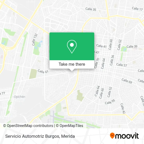 Servicio Automotriz Burgos map