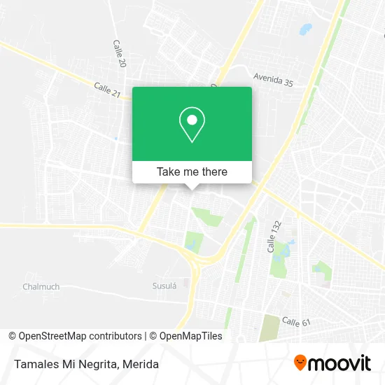Tamales Mi Negrita map