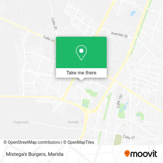 Mixtega's Burgers map
