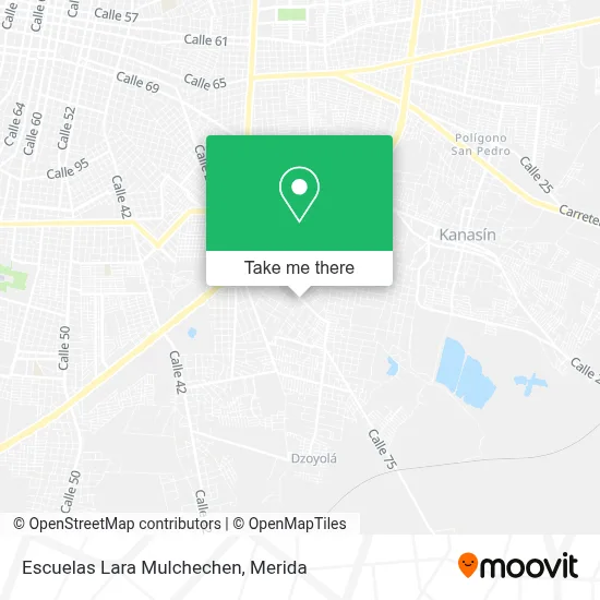 Escuelas Lara Mulchechen map