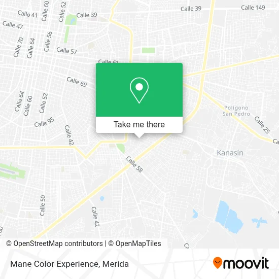 Mane Color Experience map