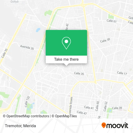 Tremotor map