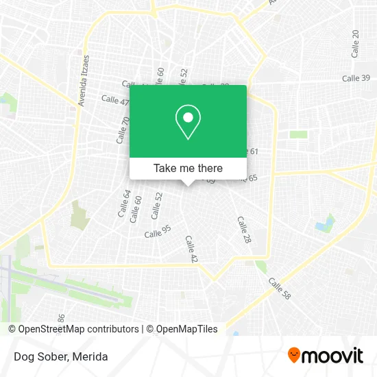 Dog Sober map