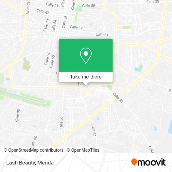 Lash Beauty map