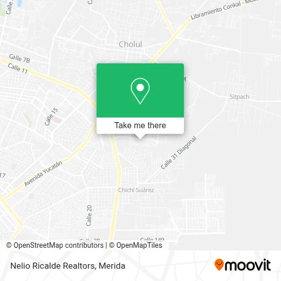 Nelio Ricalde Realtors map