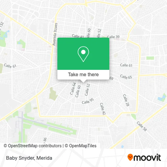 Baby Snyder map