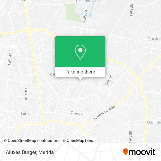 Aluxes Burger map