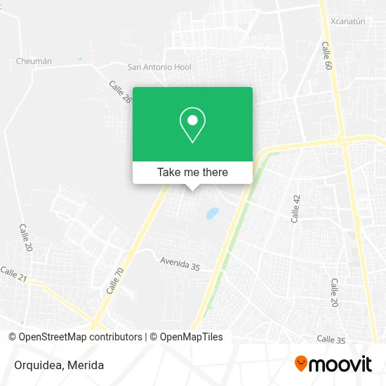 Orquidea map