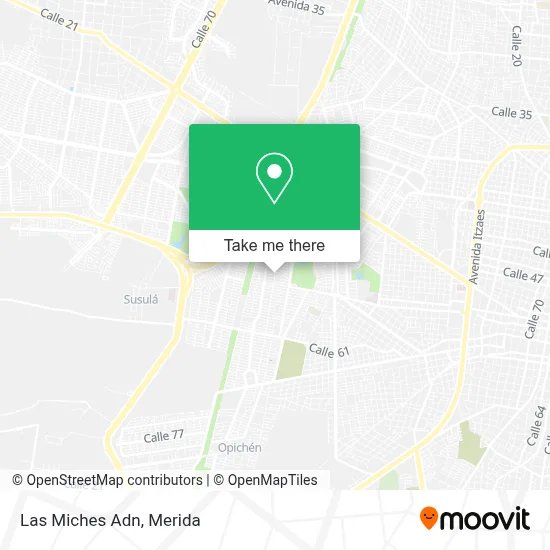 Las Miches Adn map