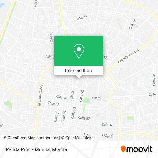 Panda Print - Mérida map