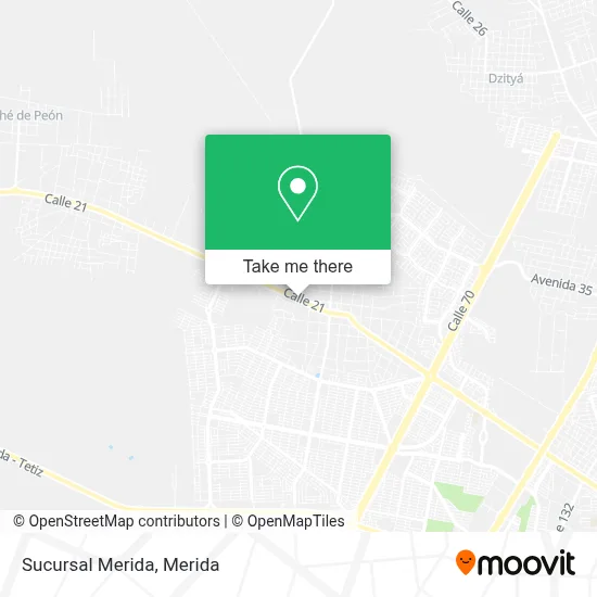 Sucursal Merida map