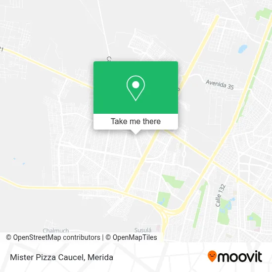 Mister Pizza Caucel map