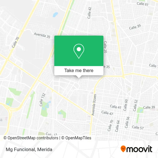 Mg Funcional map