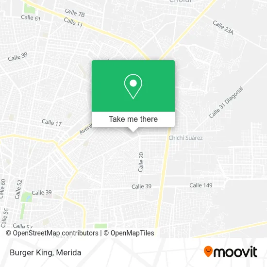 Burger King map