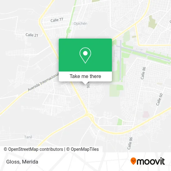 Gloss map