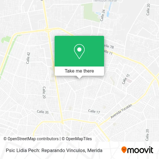 Psic Lidia Pech: Reparando Vínculos map