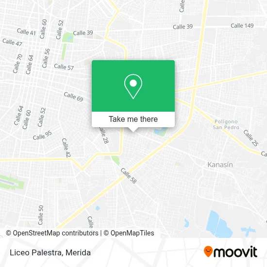Liceo Palestra map
