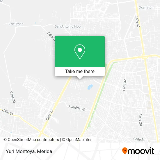 Yuri Montoya map