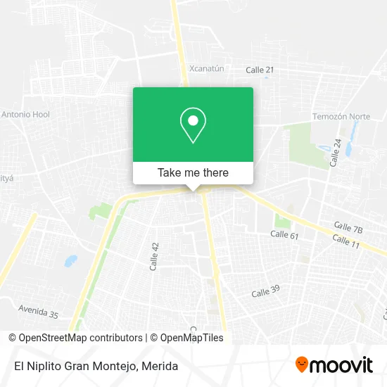 El Niplito Gran Montejo map