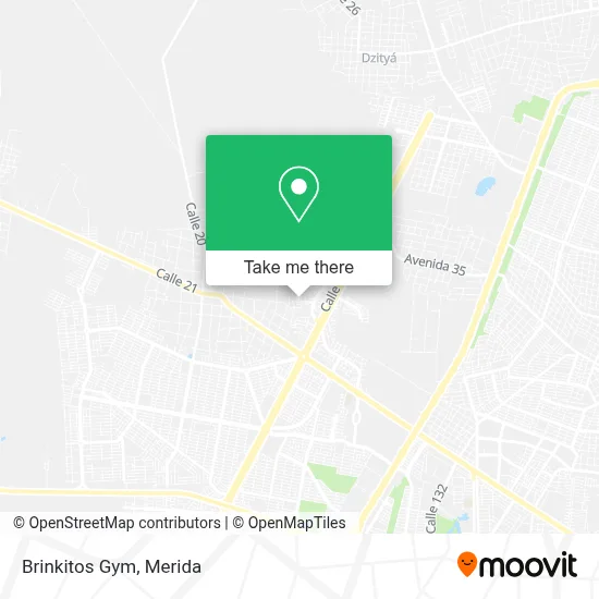 Brinkitos Gym map