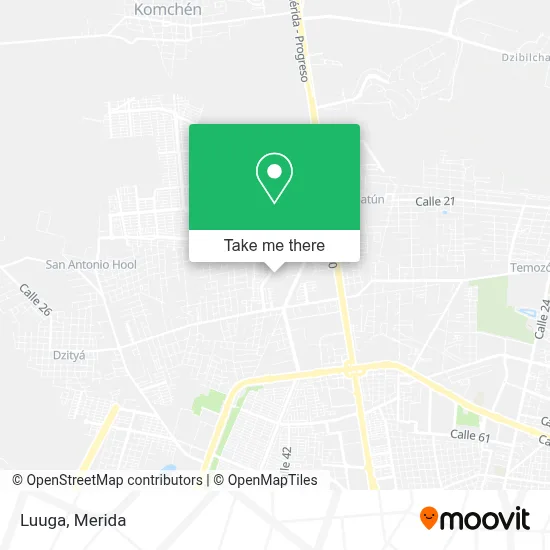 Luuga map