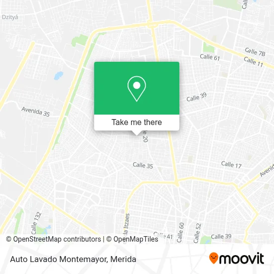 Auto Lavado Montemayor map