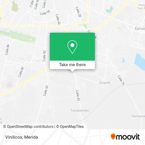 Vinilícos map