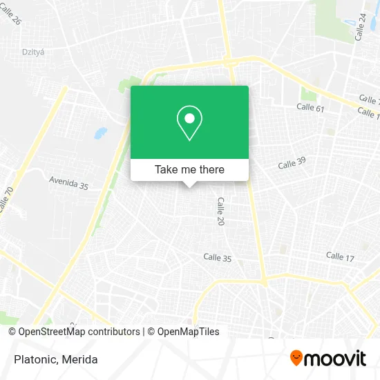 Platonic map