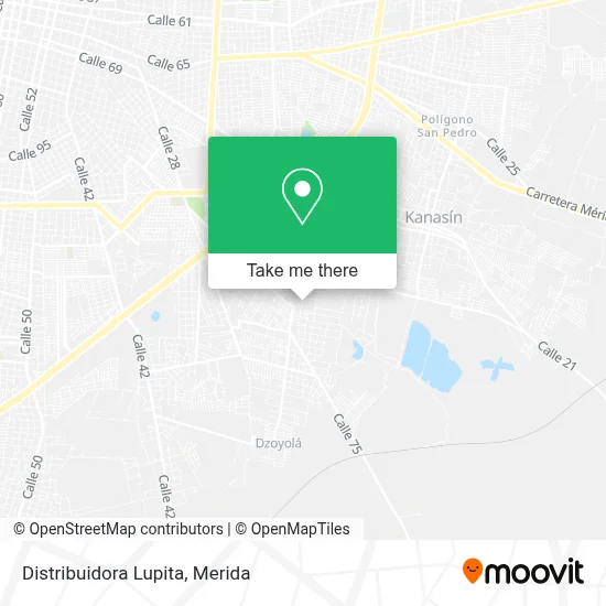 Distribuidora Lupita map