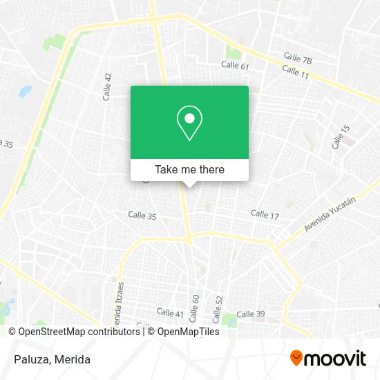 Paluza map