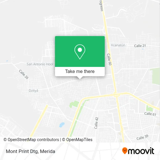 Mont Print Dtg map