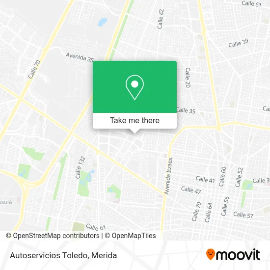 Autoservicios Toledo map