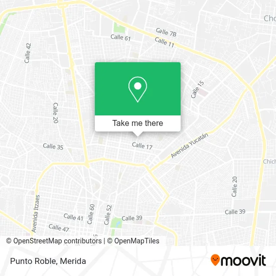 Punto Roble map