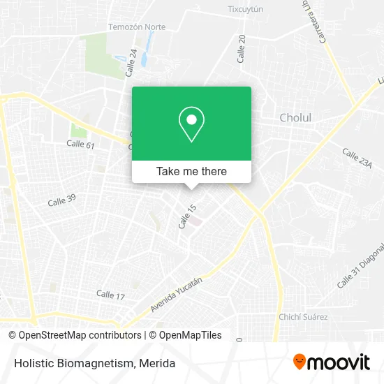 Holistic Biomagnetism map