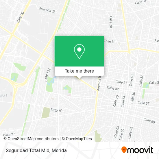 Seguridad Total Mid map