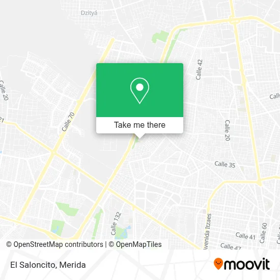 El Saloncito map