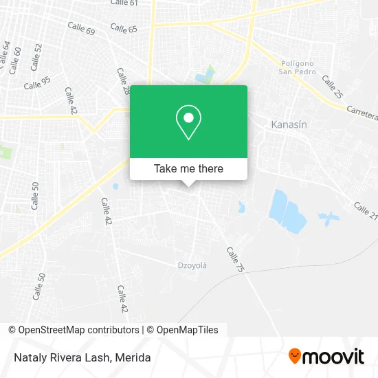 Nataly Rivera Lash map