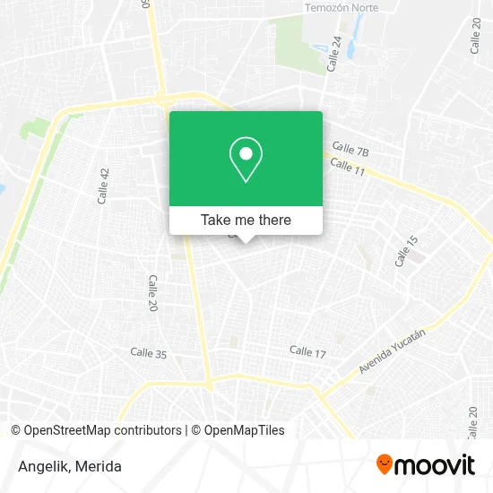 Angelik map