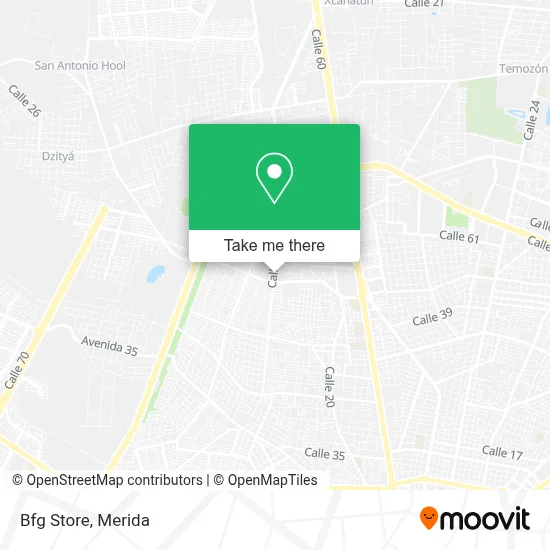 Bfg Store map