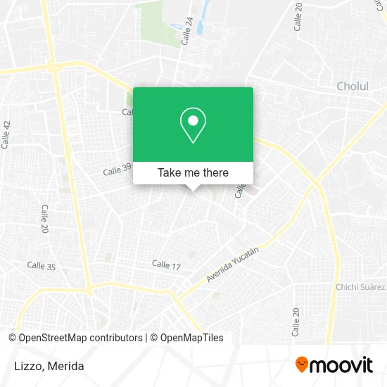 Lizzo map