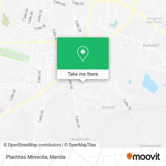 Plantitas Mimicita map