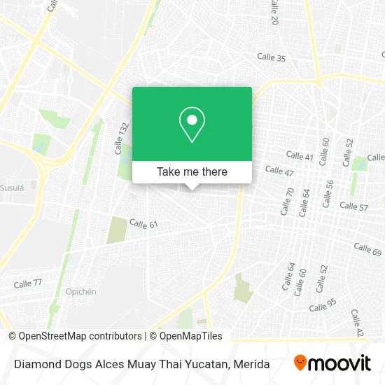 Diamond Dogs Alces Muay Thai Yucatan map